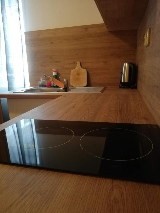 Penzion Pod Svahem Železná Ruda 외부 사진